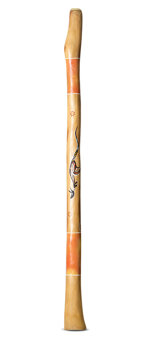 Nathan Falk Didgeridoo (PW336)